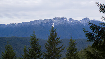 Snow covered mountain beyond evergreen trees.