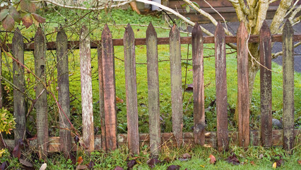 Wet fence in frontyard vancouver canada