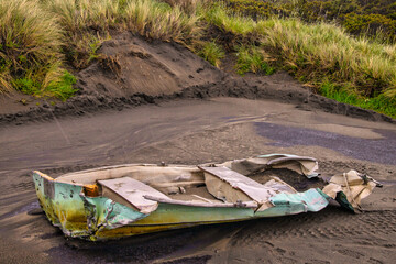 Look what the storm dragged in