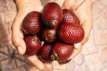 Buruti is a fruit widely consumed in the Amazon, it is nutritious and has many properties that make...