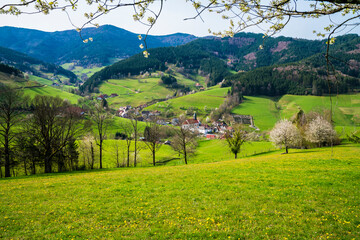 Germany, Rural black forest village view of church and houses inside green nature landscape paradise