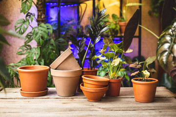 Fototapeta na wymiar Ceramic terra cotta plant pots on the wooden table