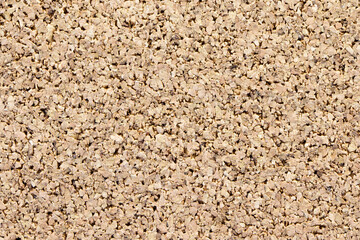 Cork tree background. Wood texture. Cork texture. Wood abstract background