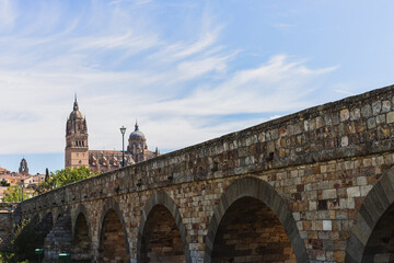 Fototapeta premium roman bridge of salamanca, old bridge and cathedral