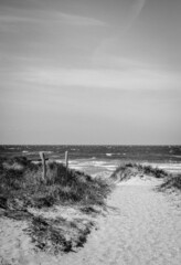Am Strand auf Hiddensee