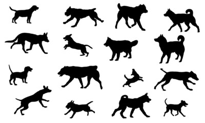 Group of dogs various breed. Black dog silhouette. Running, standing, walking, jumping dogs. Isolated on a white background. Pet animals.