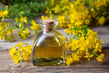 Preparation of St. John's wort oil from fresh blooming Hypericum perforatum plant (Turkish name;...