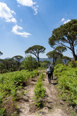 Persons hiking on the road
