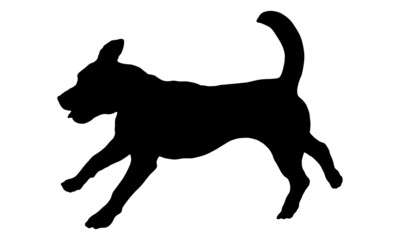Running and jumping english beagle puppy. Black dog silhouette. Pet animals. Isolated on a white background. Vector illustration.