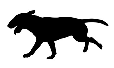Running miniature bull terrier puppy. Black dog silhouette. Pet animals. Isolated on a white background. Vector illustration.