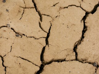 Gros plan sur les craquelures d'une terra aride, desséchée par le manque d'eau
