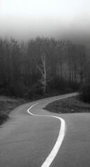 Lonely road through the woods