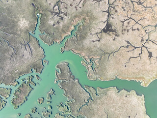 Dalyan Iztuzu beach reeds aerial view with drone, Turkey