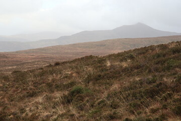Obraz premium Mangerton Walk - Killarney - Kerry - Ireland