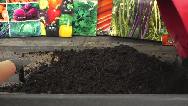 Closeup of compost being tipped from a pot into a growing tray, with multiple packets of vegetable seeds behind.