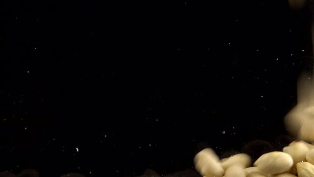 Falling blanched peanuts on a black background.