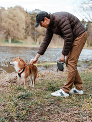 Young millennial male is walking with his cute Japanese breed shiba inu dog puppy on a riverside. Dog assistant emotional support training.