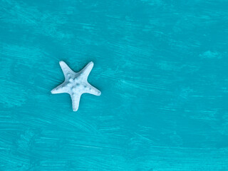 Fototapeta na wymiar Flat lay dry blue starfish on aquamarine background