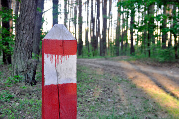 Border post in the forest. Place to copy.