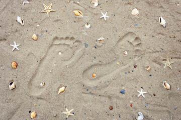 Close-up of two footprints on dry beach sand among seashells and starfish