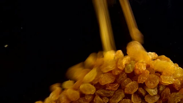 Dried raisins are pouring on a black background.