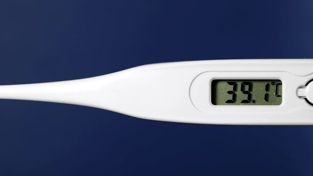 Sanitary or clinical digital thermometer calibrated in degrees centigrade that quickly increases the measured temperature. Fever or illness concept