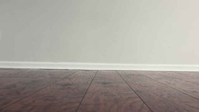 Sliding on laminated floor with an empty wall with baseboard