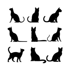 silhouette of a cat on a white background