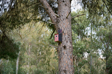 the birdhouse was attached high up in the tree. bird care.