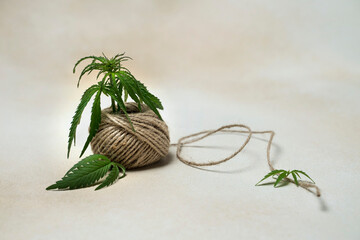 natural hemp thread or rope with cannabis leaves