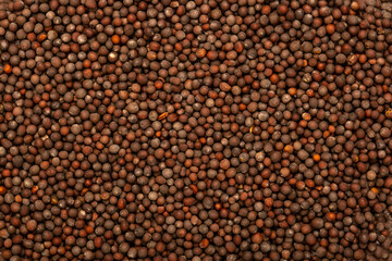 Fototapeta premium Mustard seed brown, spice close-up flat lay on a white background. Indian and Arabic spices for cooking. Medicinal herbs and spices.