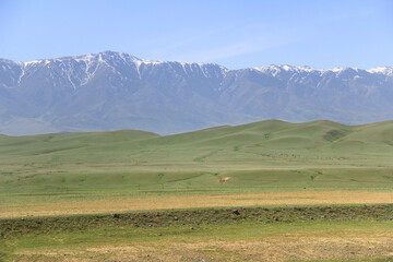 Obraz premium Big Alatau mountain range with snow-capped peaks, large green hills in the foreground, sky with clouds, spring, sunny