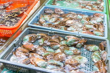 Fresh raw abalone selling in wet market