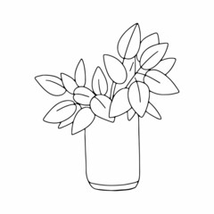 Plant in a vase linear illustration. For the interior. Outline image. Vector