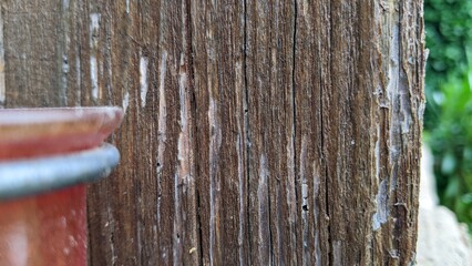 water flowing into the wood