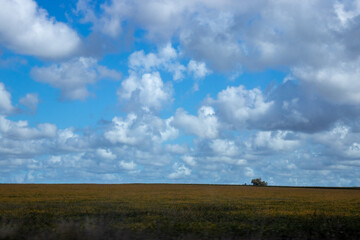 Cielo bonito