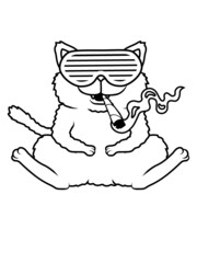 Weed kiffende Katze 
