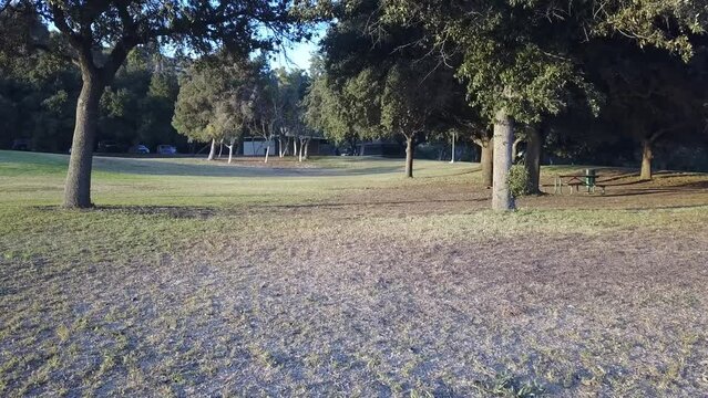 aerial footage of a park at a lake with lush green grass and lush green trees and park benches at Puddingstone Lake in San Dimas California USA