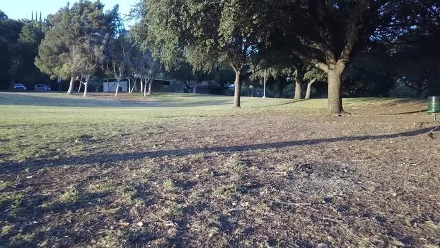 aerial footage of a park at a lake with lush green grass and lush green trees and park benches at Puddingstone Lake in San Dimas California USA