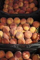 Ripe peaches at the market