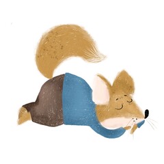 Sleepy fox 