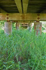 Unter einer Brücke aus Holz
