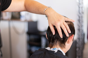 Treat the hair at beauty salon. Hairdresser checking hair of the woman.