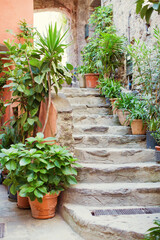 Fototapeta na wymiar Archway with stone stairs and plants
