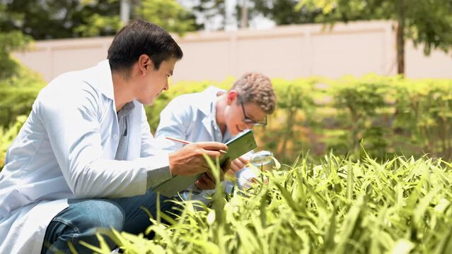 Two young biotechnologist in white coat use magnifying glass check baby lecture for research and digital laptop in organic farm. Good quality products, Remember growing plant, Earths day concept.