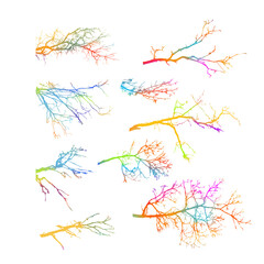 Tree colorful branches set. Vector illustration