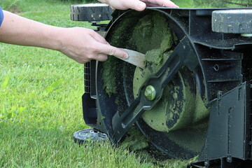 The hand cleans the lawnmower from grass clippings. Lawn mower blade. The lower part of the lawn mower. - obrazy, fototapety, plakaty