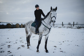Koń na śniegu