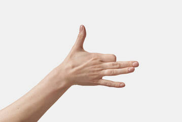 Dog symbol silhouette gesturing female hand on white.