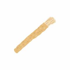 Siwak or Miswak. Islamic traditional toothbrush vector illustration